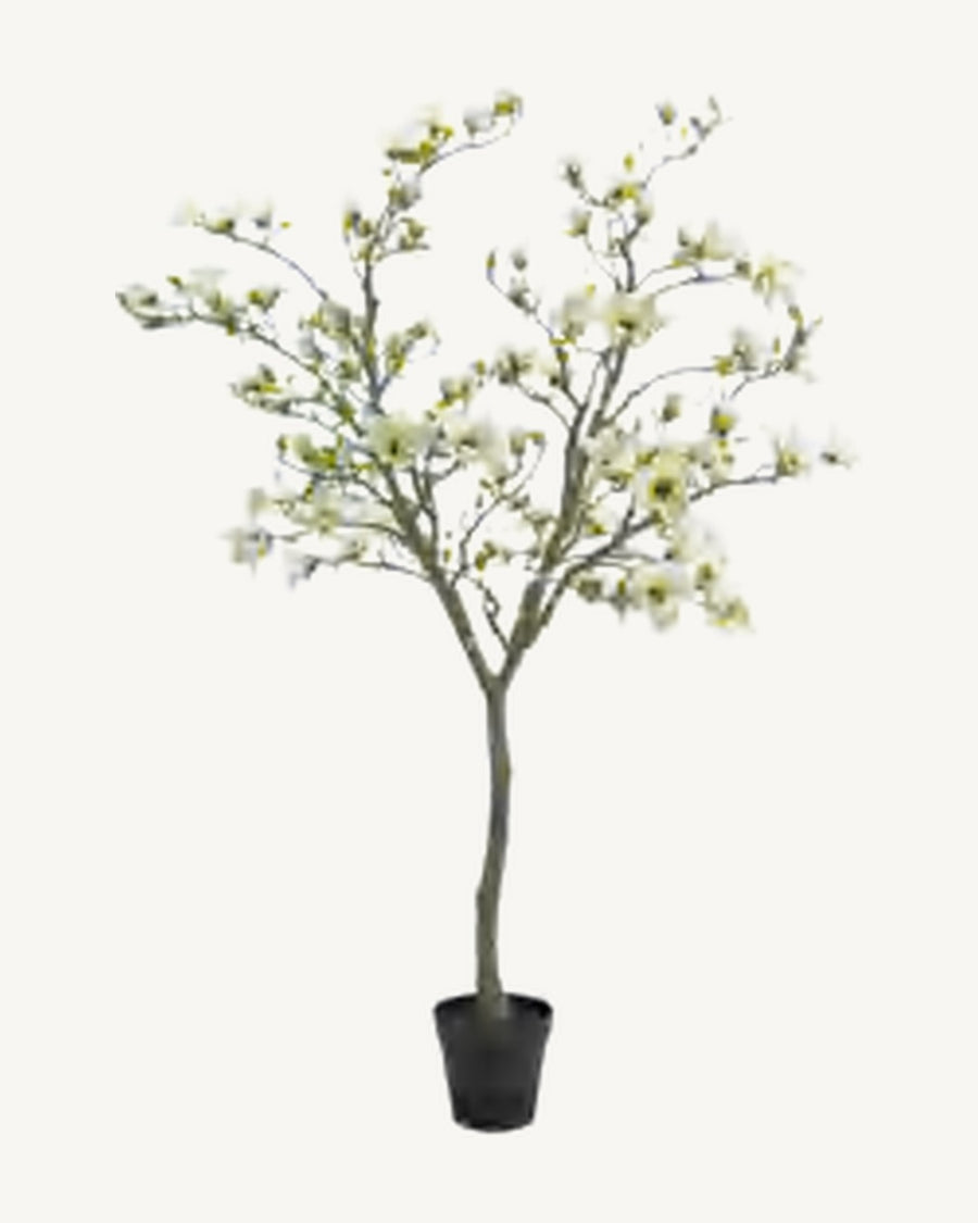 Ostuni Artificial Blossom Tree