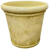 Crème vieilli