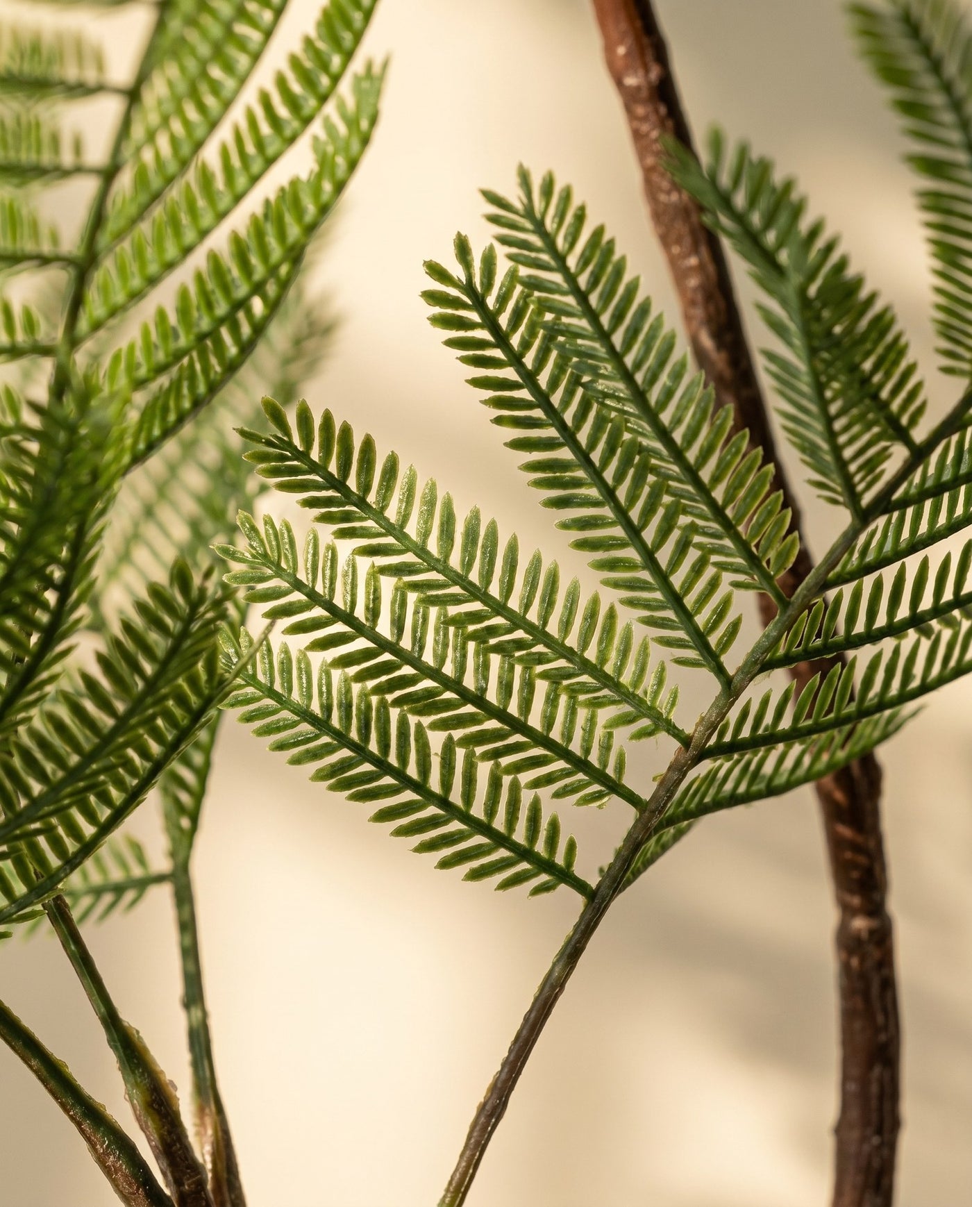 Maison Moya - Phoenix Palm Date Palm Faux Tree - 03 closeup-top