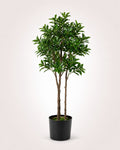 Pieris Japonica Plante artificielle