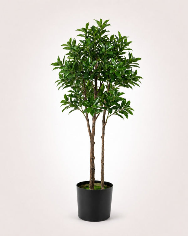 Pieris Japonica Kunstplant