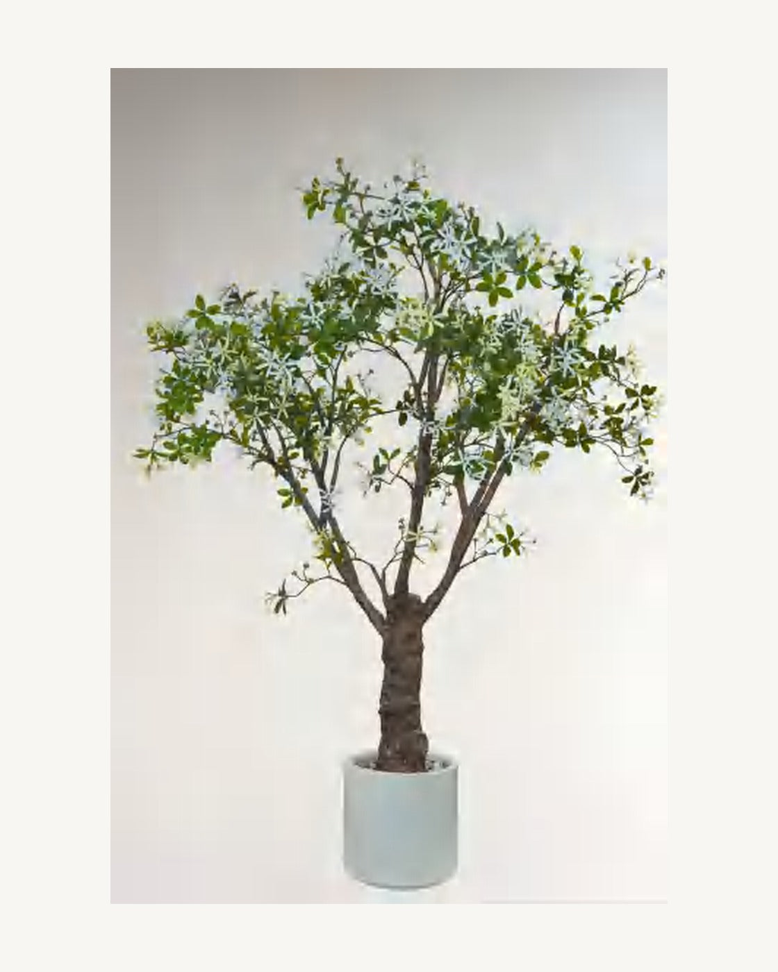 Positano Artificial Decorative Tree, full product studio view in the included nursery pot