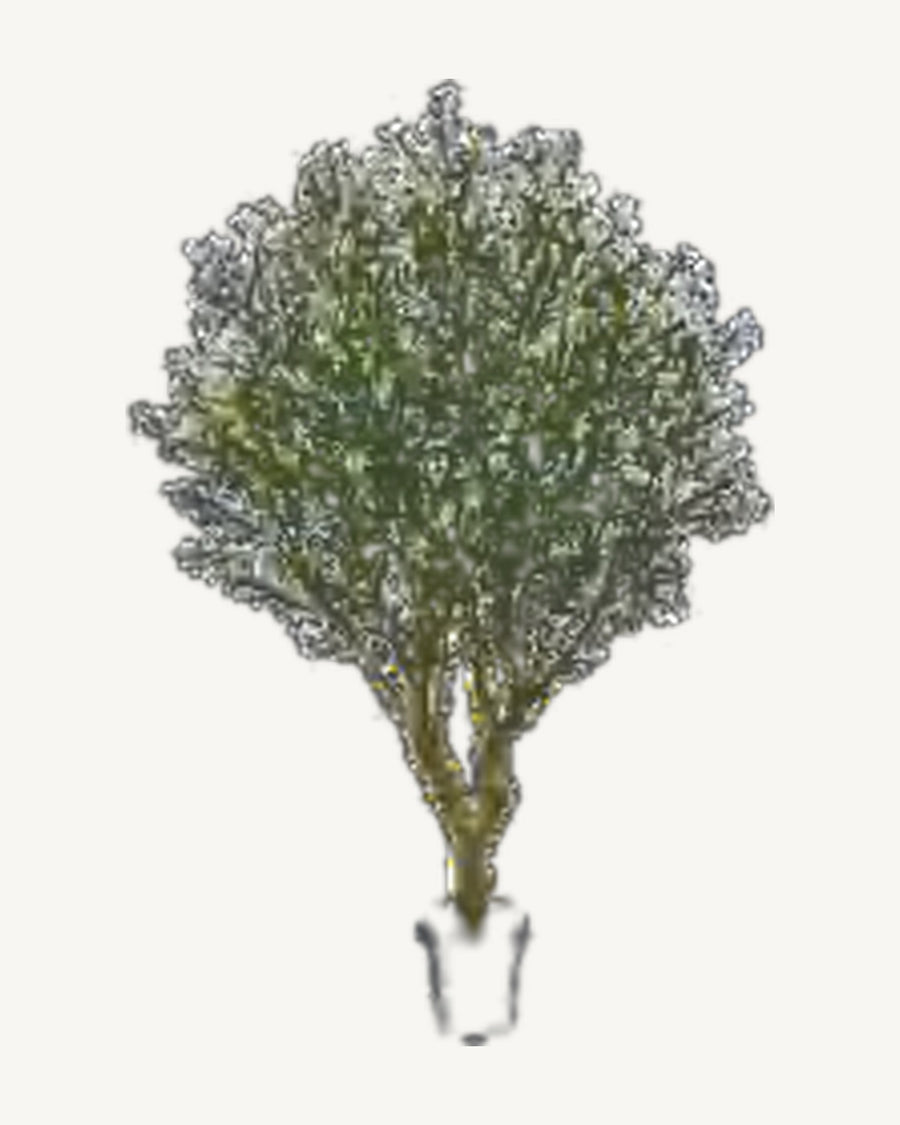 Puglia Artificial Olive Tree, full product studio view in the included nursery pot