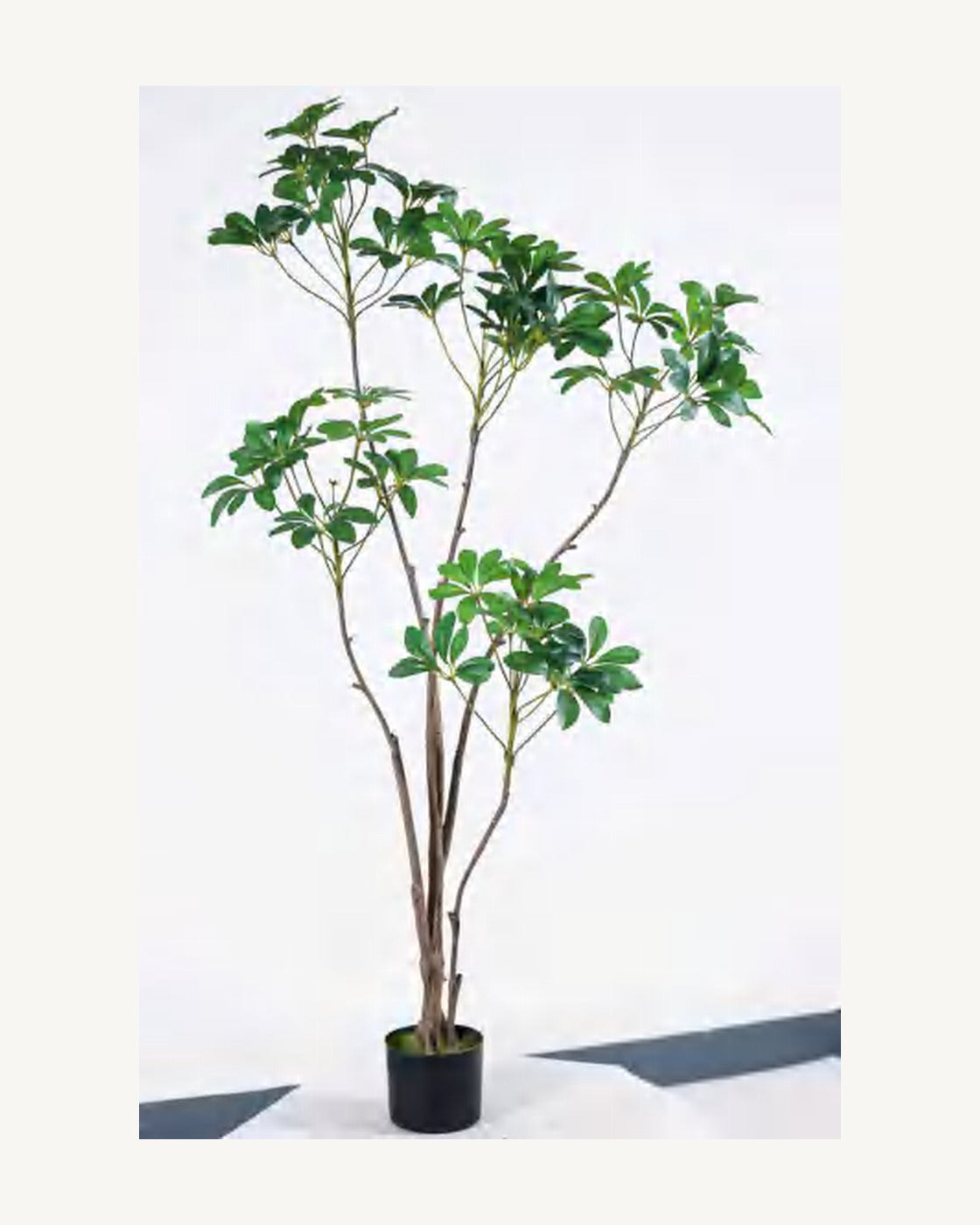 Puglia Artificial Schefflera Tree, full product studio view in the included nursery pot
