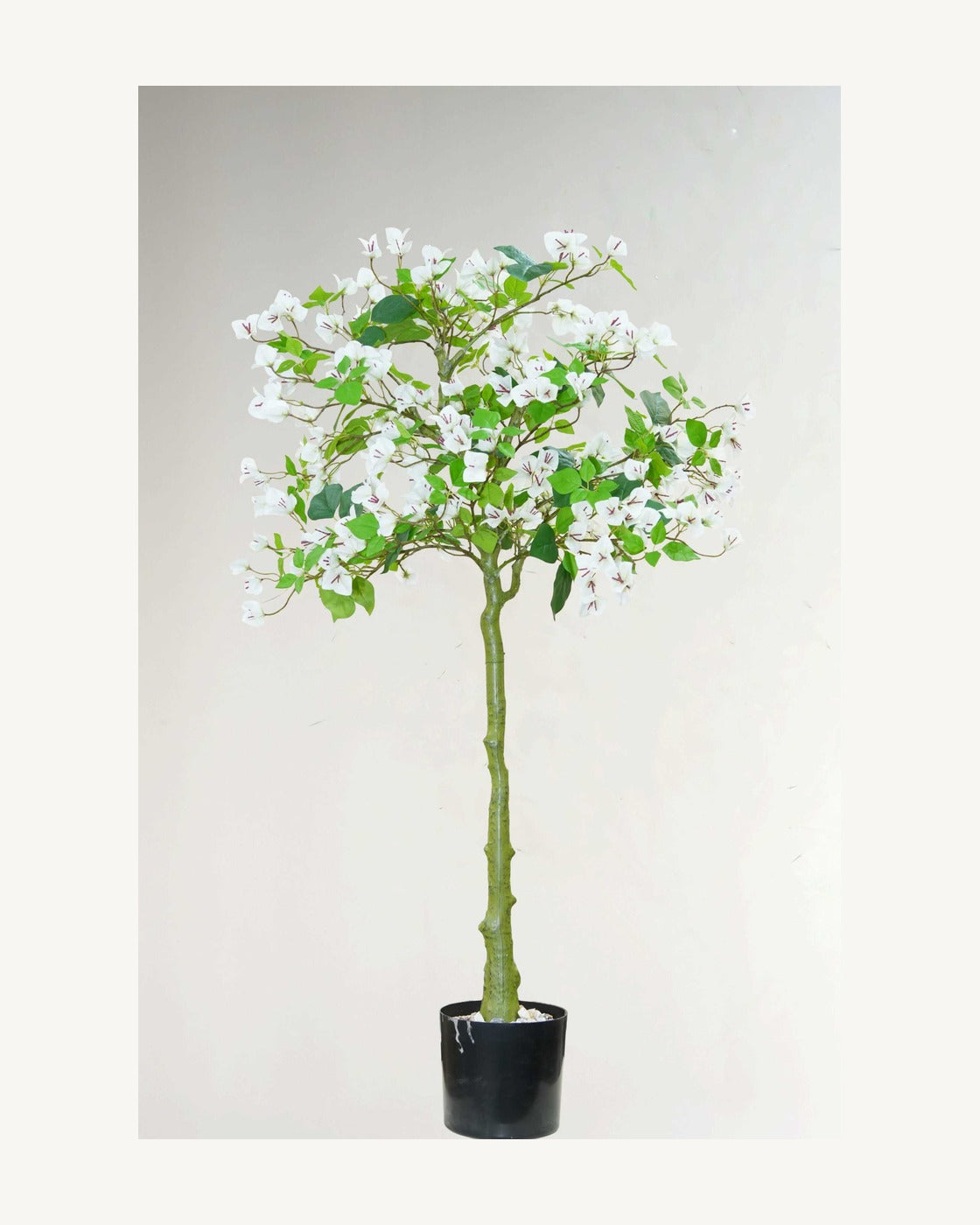 Ravello Artificial Bougainvillea Tree, full product studio view in the included nursery pot