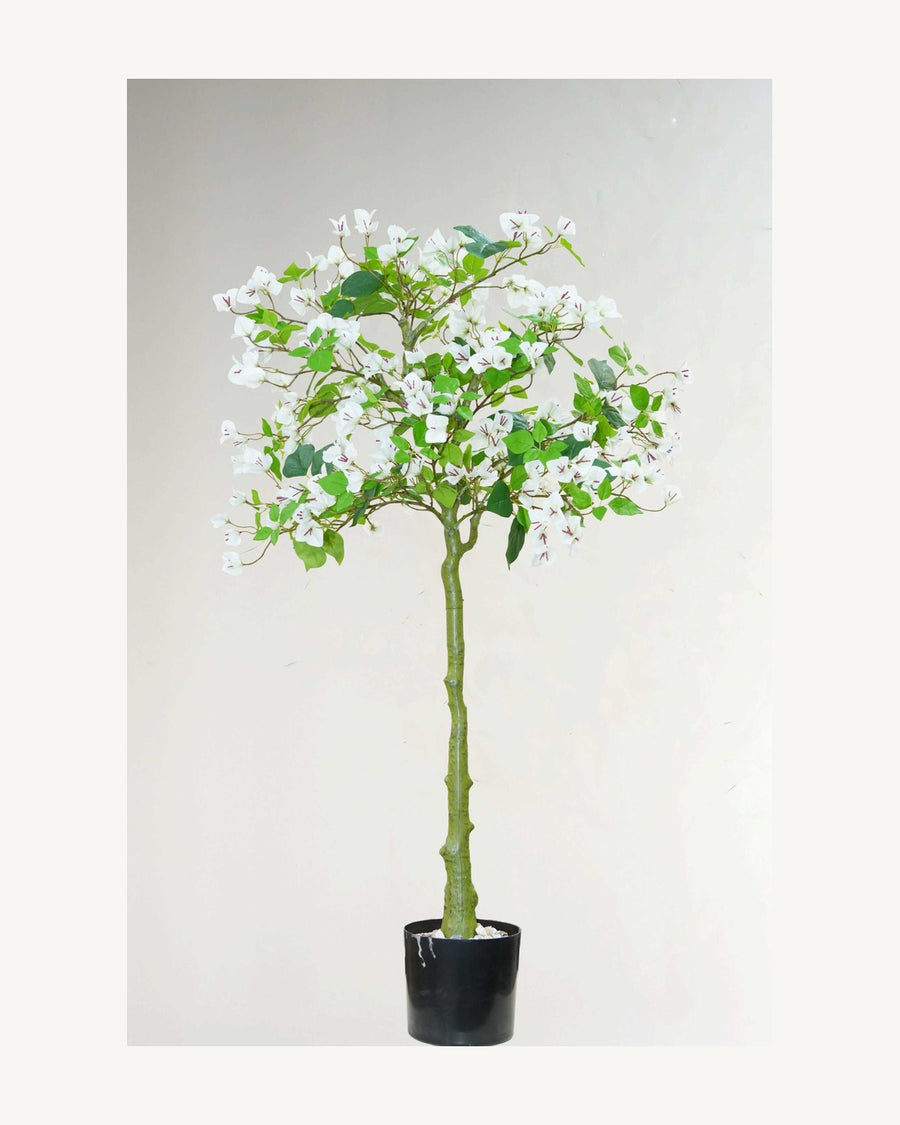Ravello Artificial Bougainvillea Tree, full product studio view in the included nursery pot