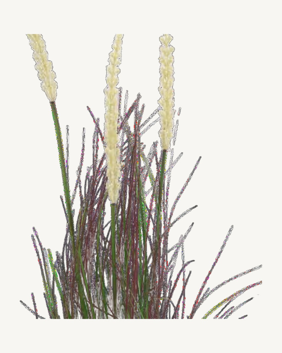 Ravello Artificial Onion Grass, 39.4 in