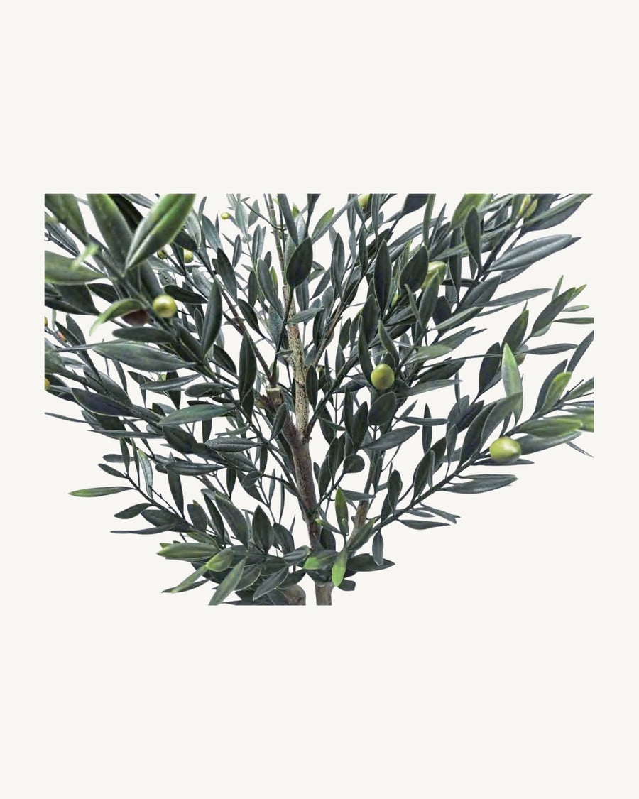 Ronda Artificial Olive Tree, Style B, full product studio view in the included nursery pot