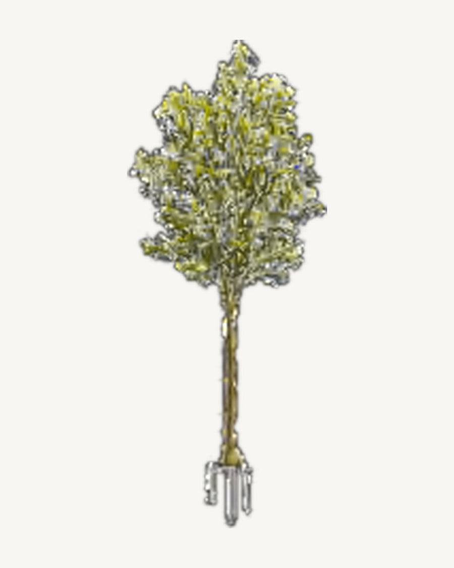 Roussillon Artificial Olive Tree, full product studio view in the included nursery pot