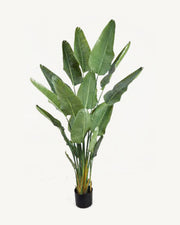 Salina Artificial Traveler's Palm, 86.6 in, full product studio view in the included nursery pot