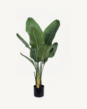 Salina Artificial Traveler's Palm, 47.2 in, full product studio view in the included nursery pot
