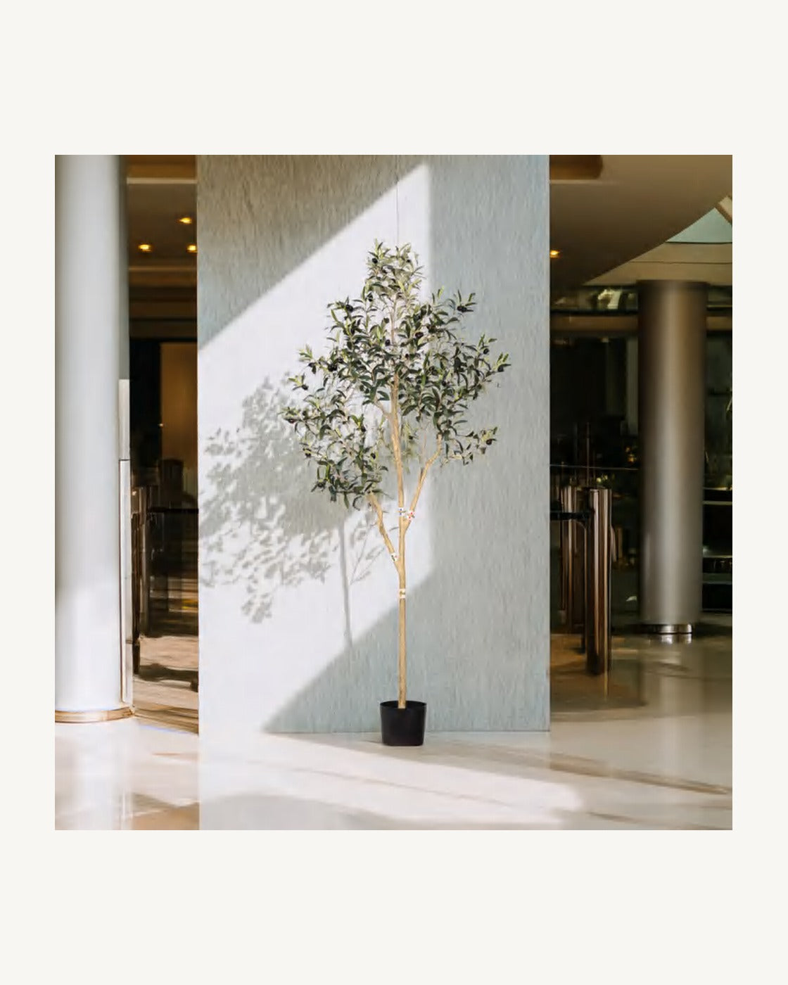 Segovia Artificial Olive Tree, full product studio view in the included nursery pot