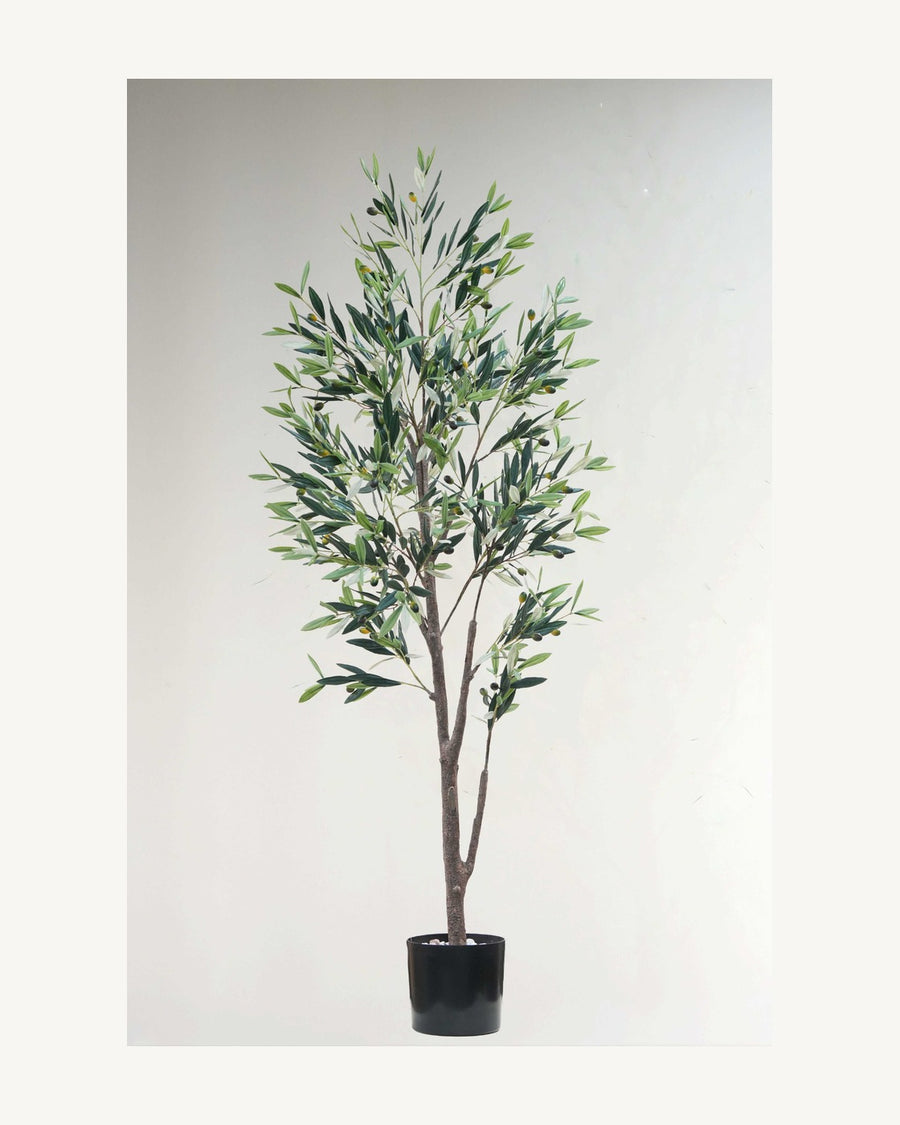 Sienna Artificial Olive Tree, full product studio view in the included nursery pot