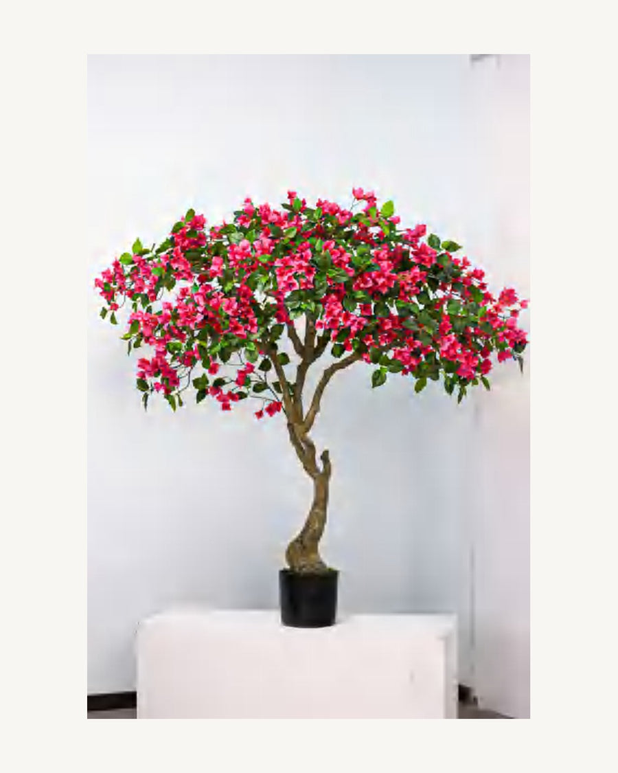 Sorrento Artificial Bougainvillea Tree, full product studio view in the included nursery pot