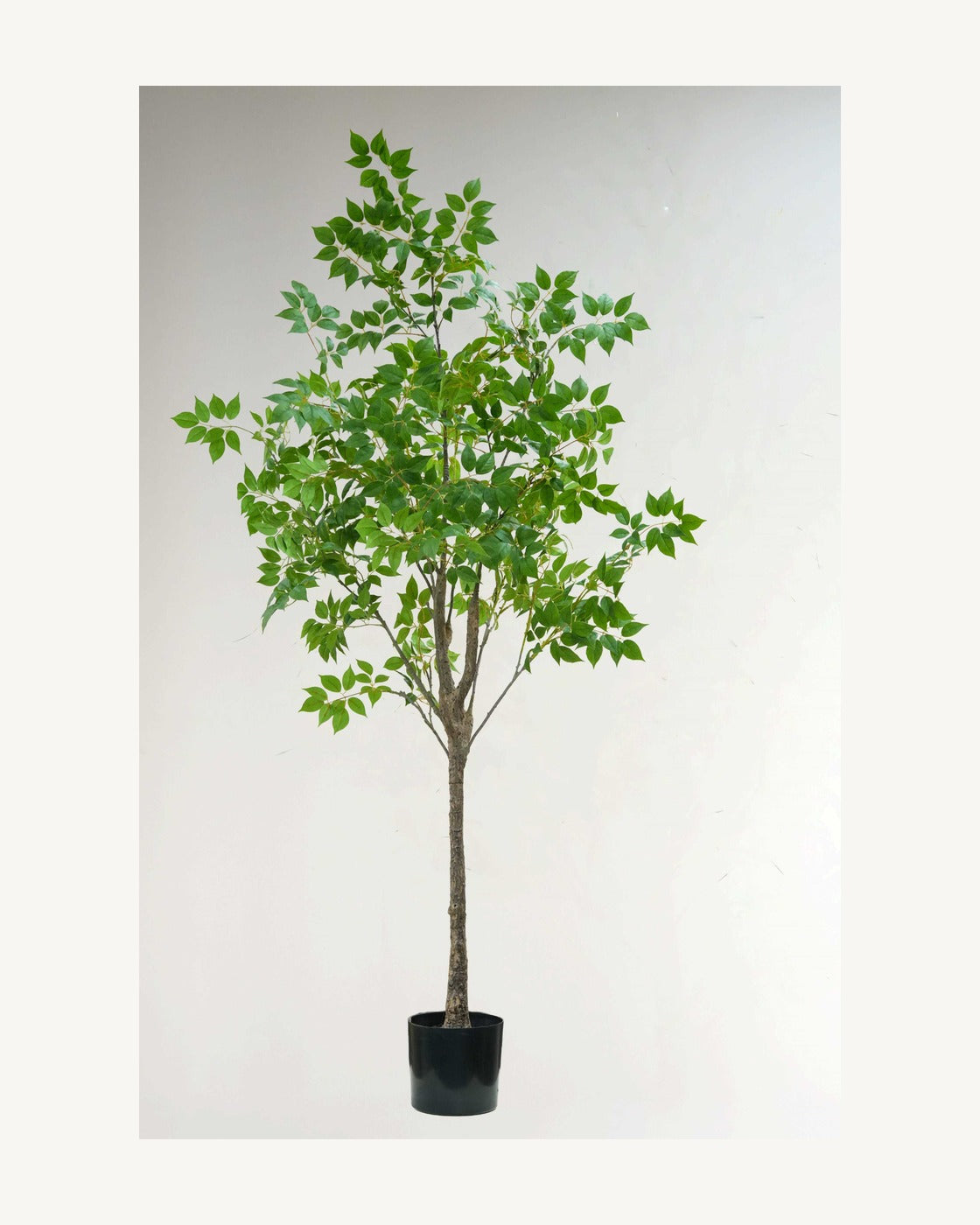 Spoleto Artificial Decorative Tree, full product studio view in the included nursery pot