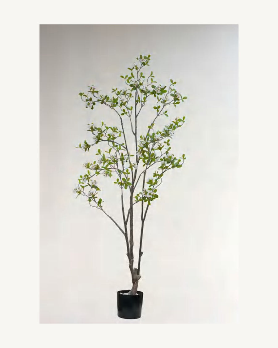 Taormina Artificial Blossom Tree, full product studio view in the included nursery pot