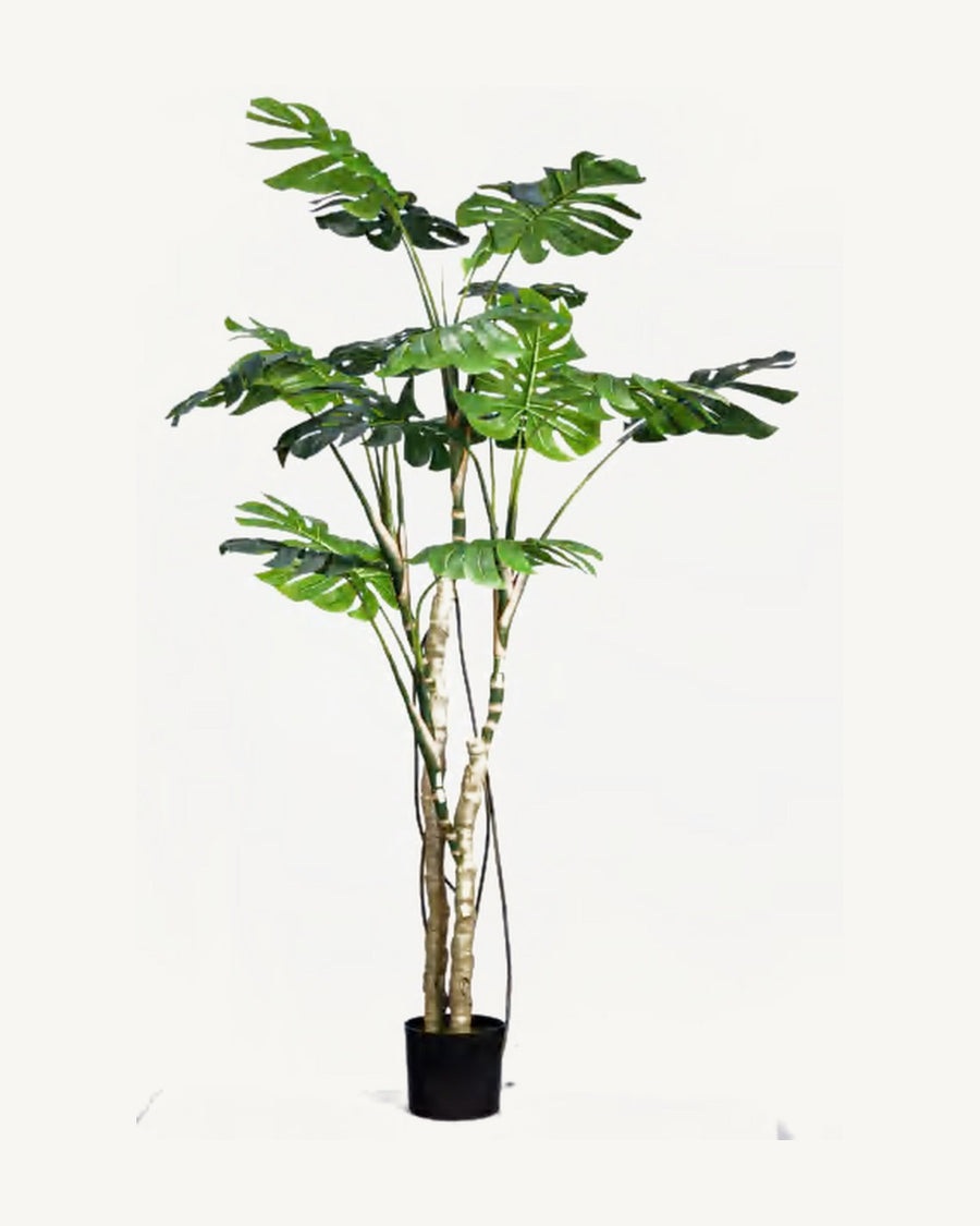 Taormina Artificial Monstera Plant, 78.7 in