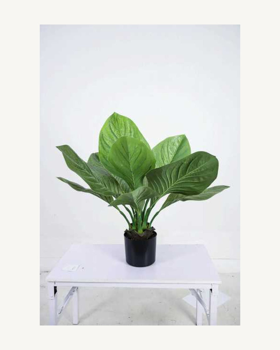 Taormina Artificial Tropical Plant, 30.7 in