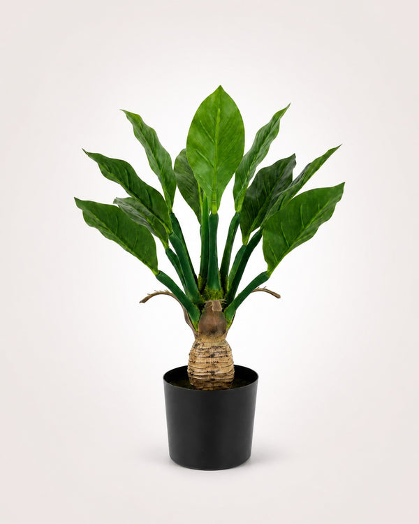 Tropische plant Kunstplant