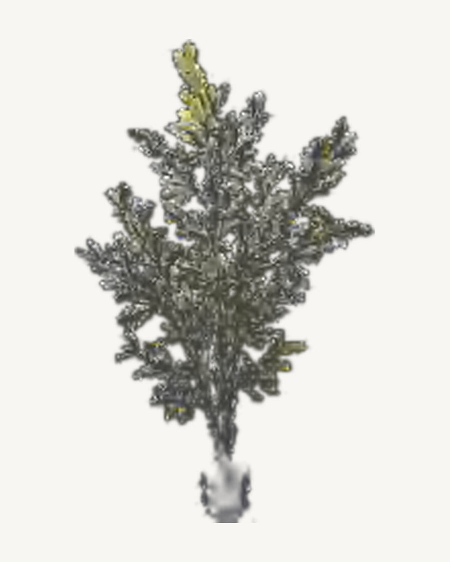 Vence Artificial Olive Tree, full product studio view in the included nursery pot
