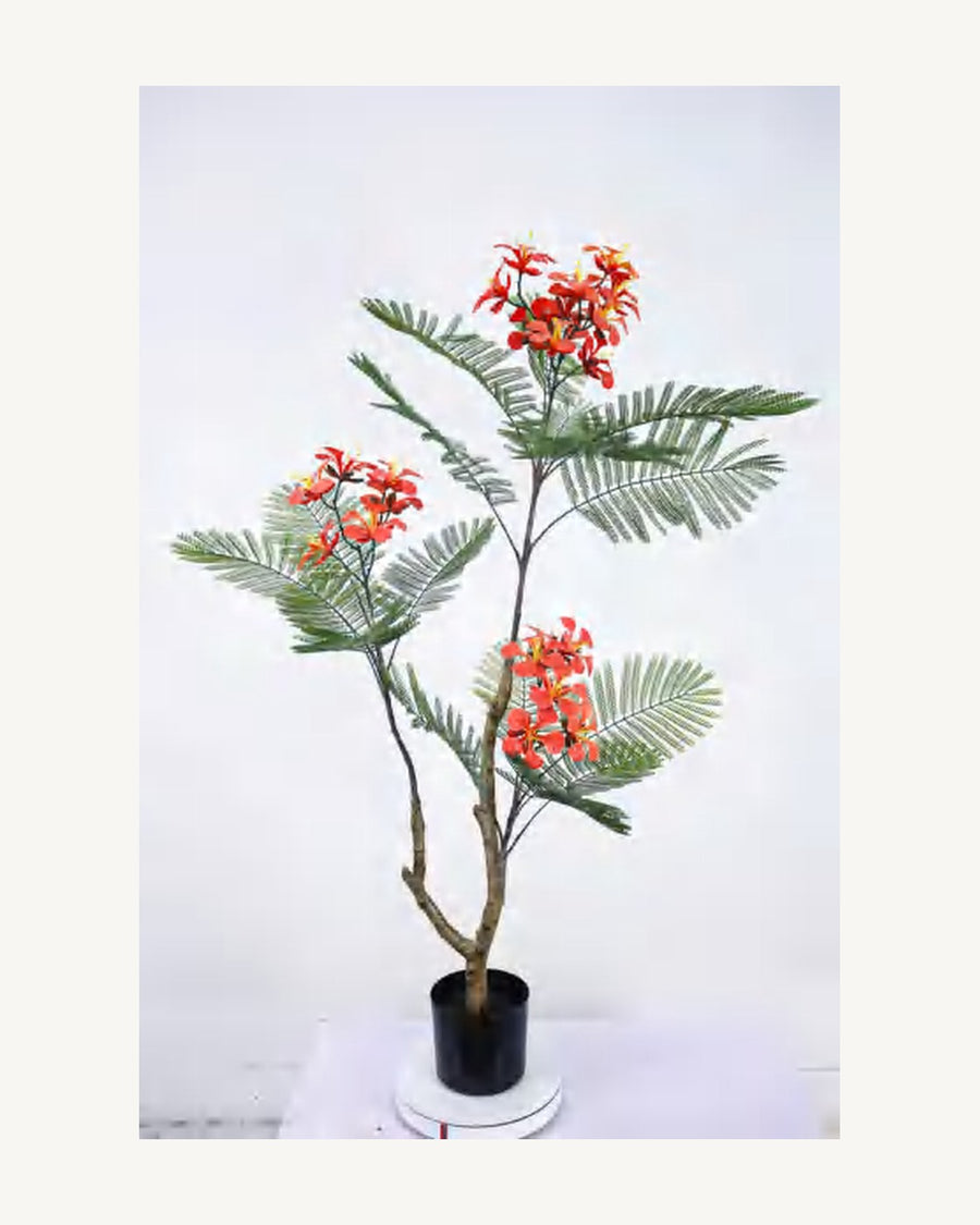 Verona Artificial Royal Poinciana Tree