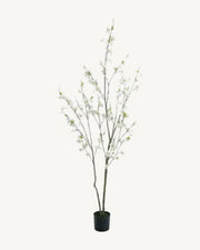 Volterra Artificial Blossom Tree, Ivory, full product studio view in the included nursery pot