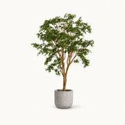 Arbre artificiel Banian XL