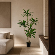 Dracaena Realistic Trunk Faux Tree