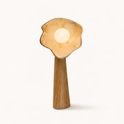 Lune Suspendue Mini tafellamp