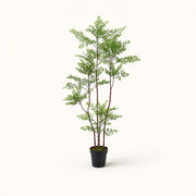 Nandina Sacred Bamboo Faux Plant