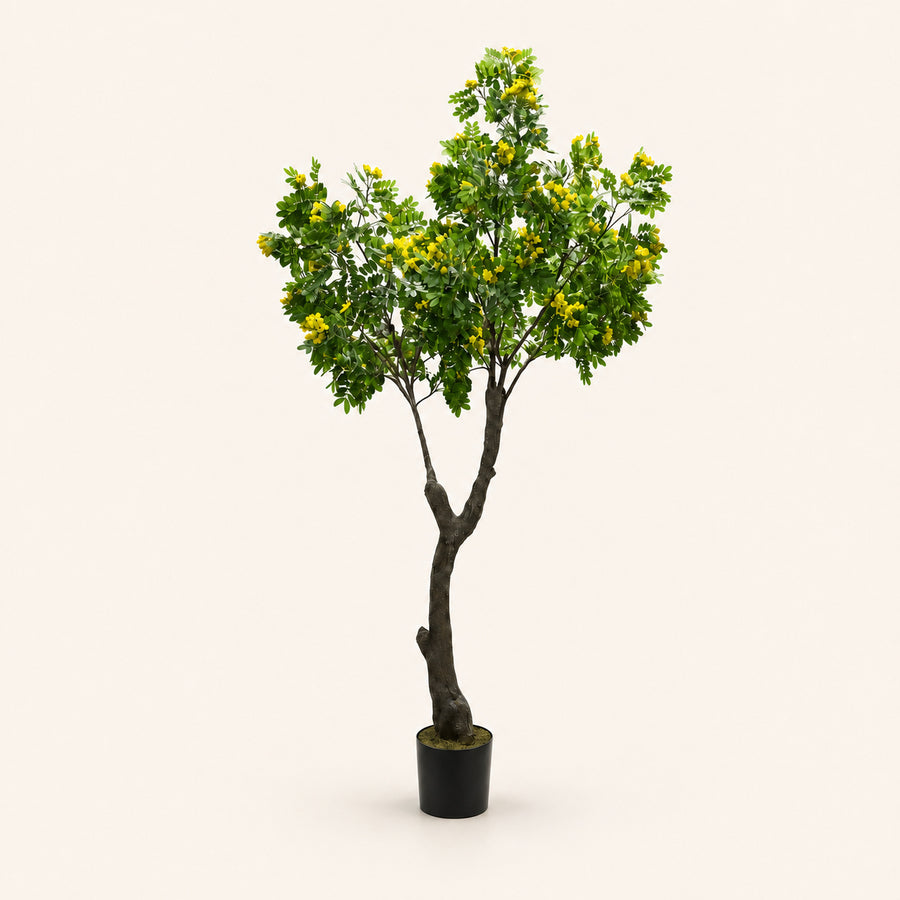 Osmanthus Árbol artificial