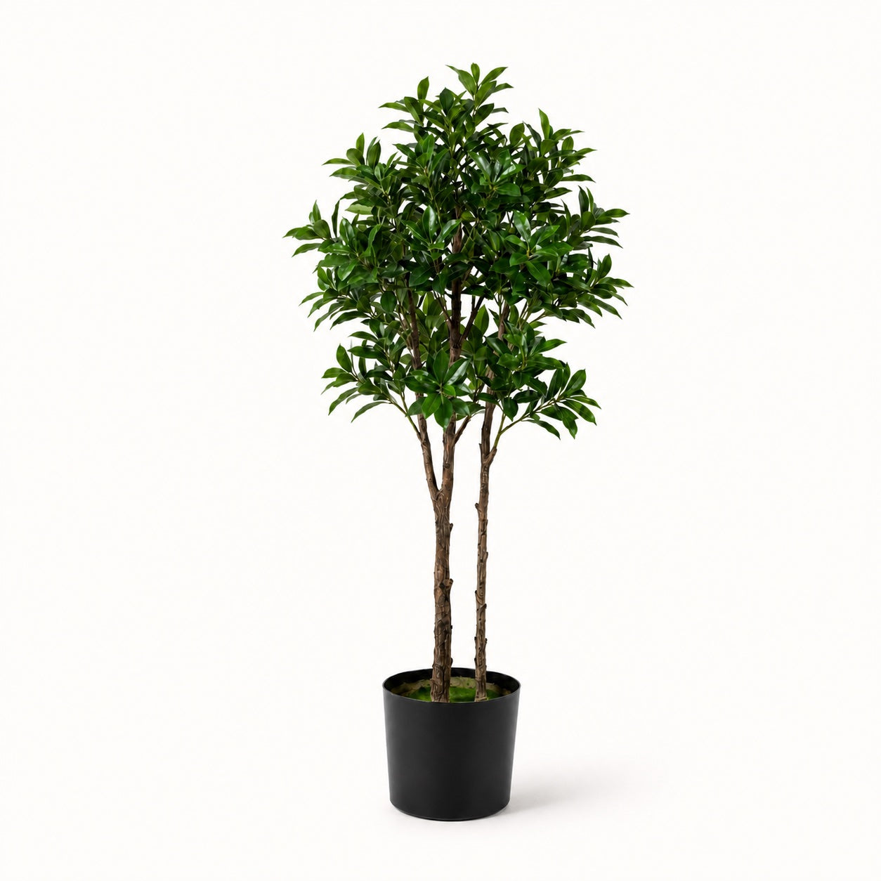 Pieris Japonica Faux Indoor Plant