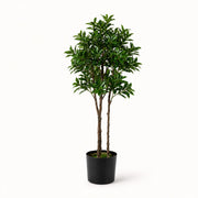 Pieris Japonica Faux Indoor Plant