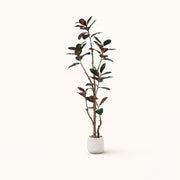 Arbre artificiel Ficus Elastica