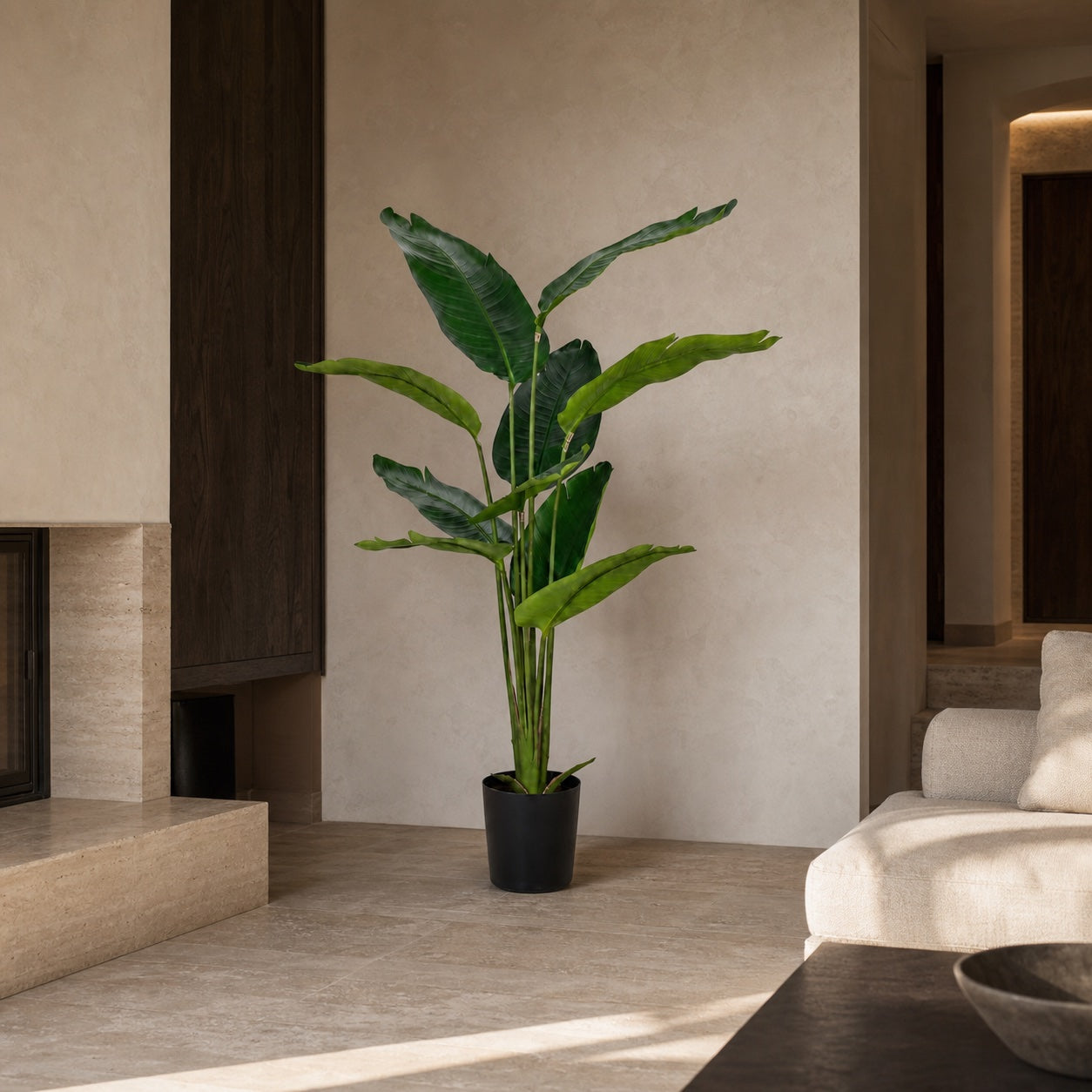 Traveler's Palm Tropical Statement Tree
