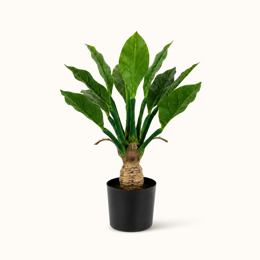 Planta tropical artificial